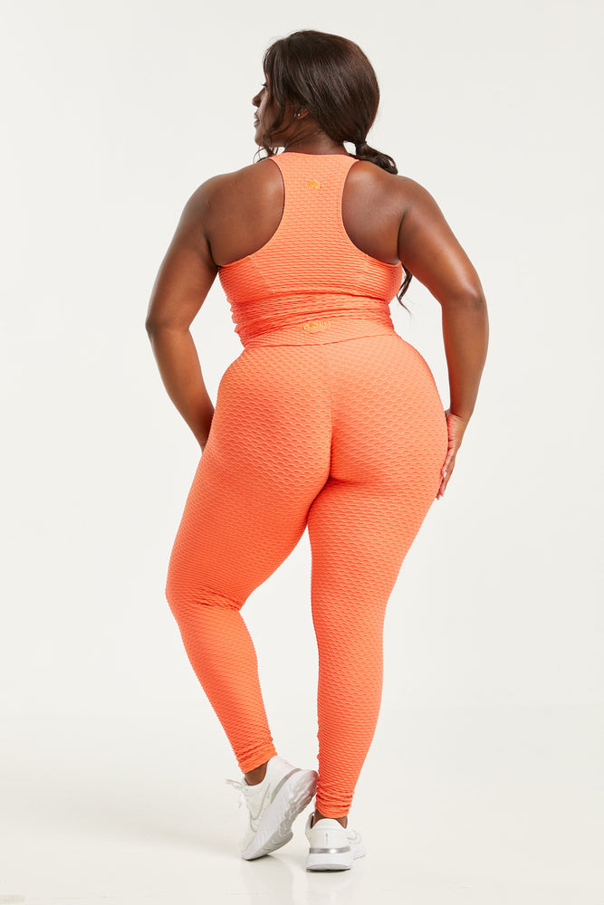 Croco Skin Leggings Rio